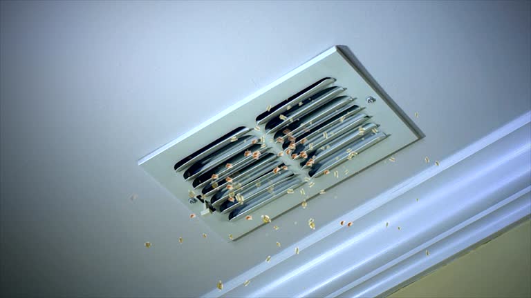 Best Air Vent Cleaning Services  in Valparaiso, IN