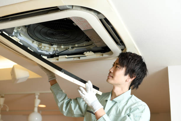 Best Air Duct Sanitizing Services  in Valparaiso, IN